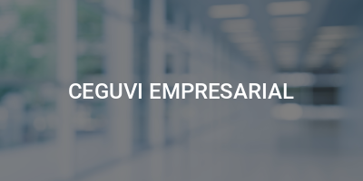 CEGUVI EMPRESARIAL