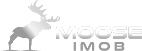Black Moose Imob