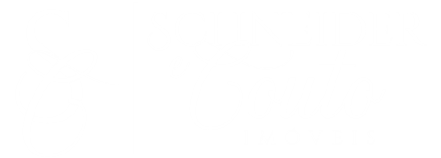 Schneider e Couto Imoveis