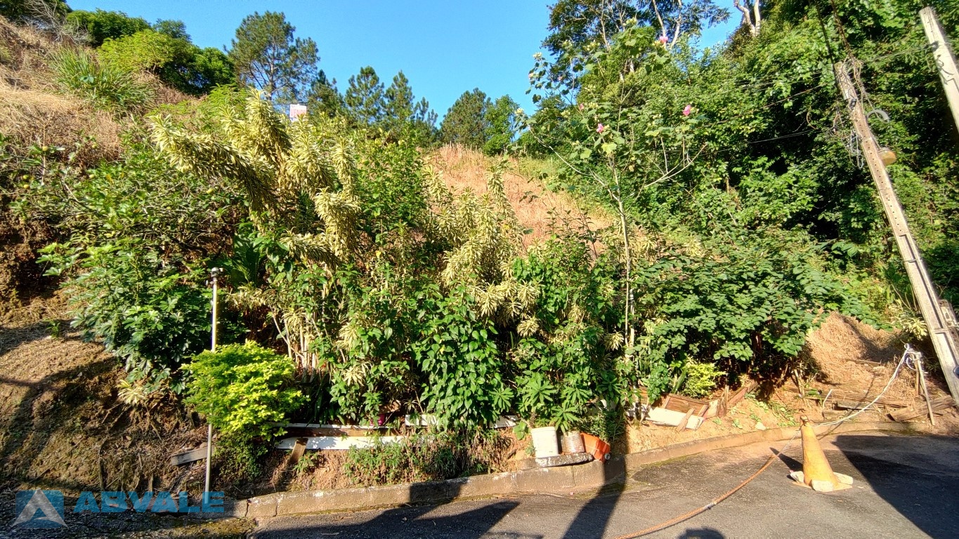 Lote/Terreno em Blumenau, Ponta Aguda