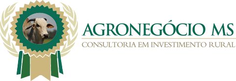 Agronegocio Ms